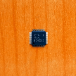EC5579H1G (AS19-H1G)
